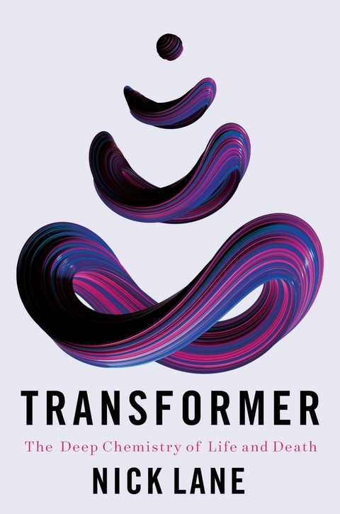 Transformer -  Nick Lane