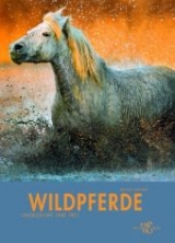 Wildpferde - Paolo Manili