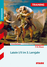 Training Gymnasium - Latein 3. Lernjahr - Gerhard Metzger