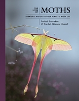 Lives of Moths -  Rachel Warren Chadd,  Andrei Sourakov