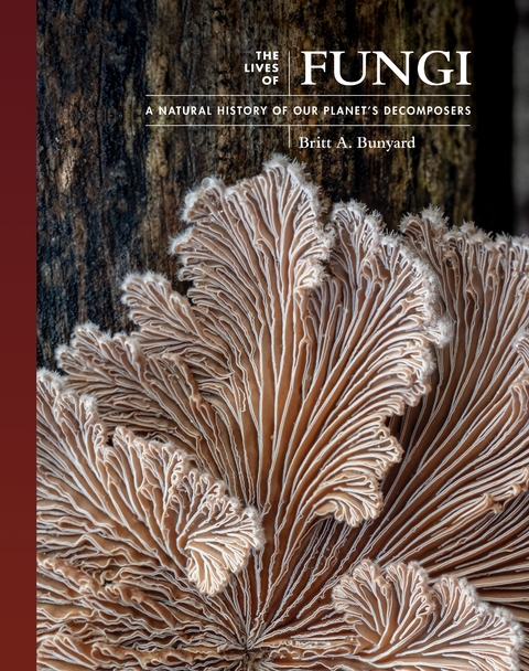 Lives of Fungi -  Britt A. Bunyard