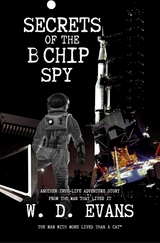 Secrets Of The B Chip Spy -  Wayne D Evans