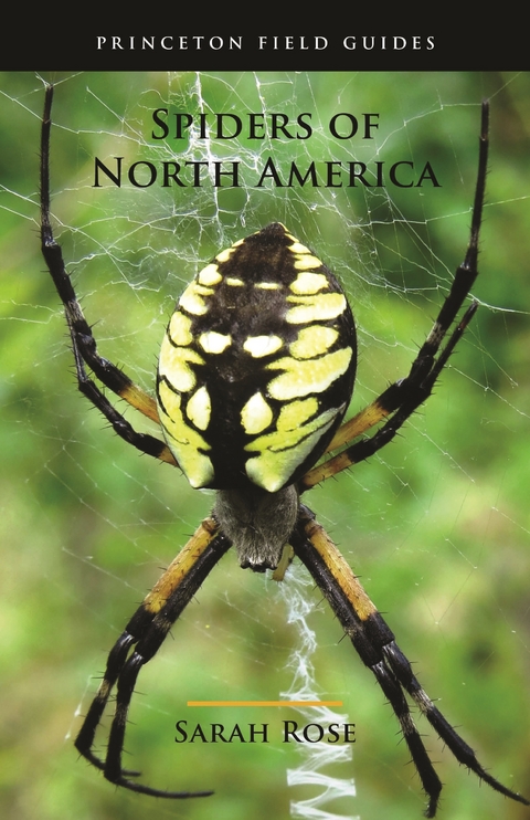 Spiders of North America -  Sarah Rose