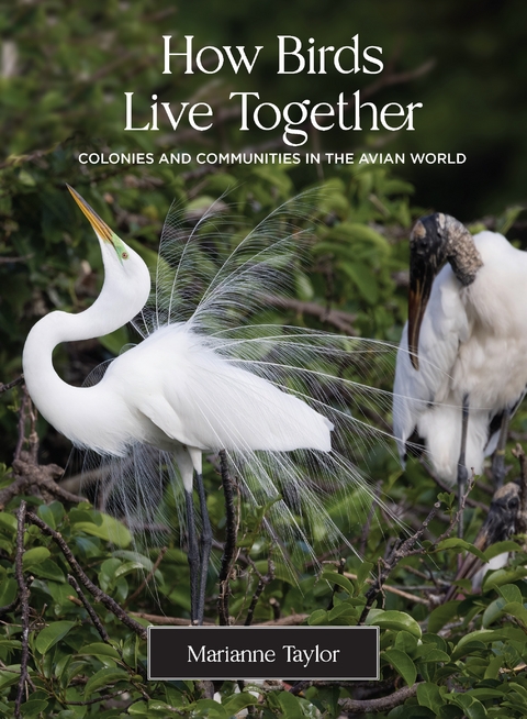 How Birds Live Together -  Marianne Taylor