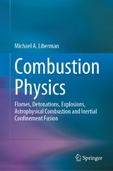 Combustion Physics -  Michael A. Liberman
