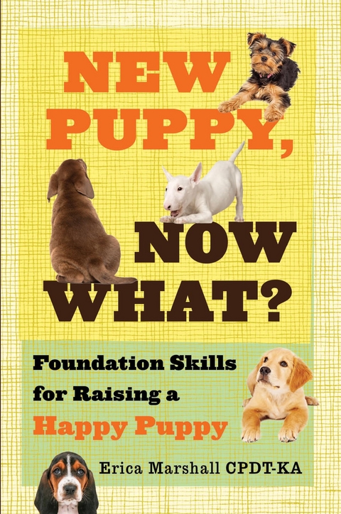 New Puppy, Now What? Foundation Skills for Raising a Happy Puppy -  Erica Marshall CPDT-KA
