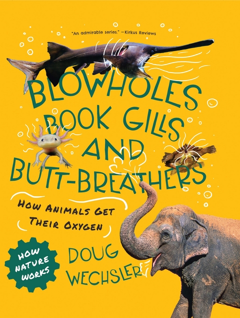 Blowholes, Book Gills, and Butt-Breathers: How Animals Get Their Oxygen (How Nature Works) - Doug Wechsler