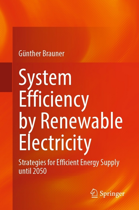 System Efficiency by Renewable Electricity - Günther Brauner