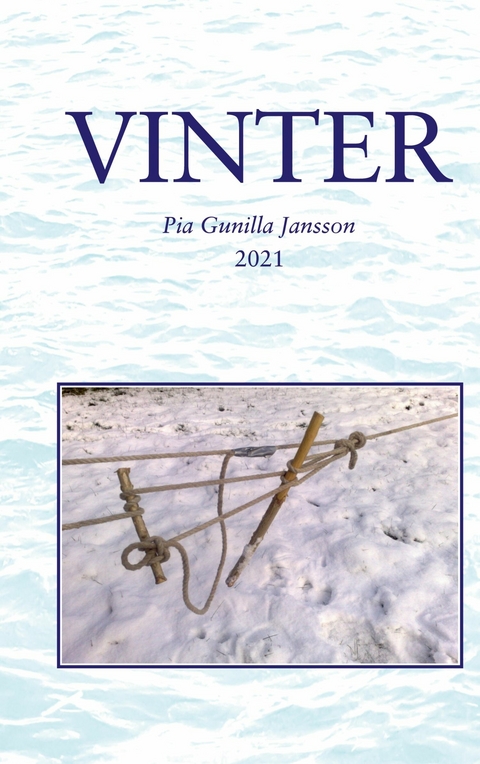 Vinter - Pia Gunilla Jansson