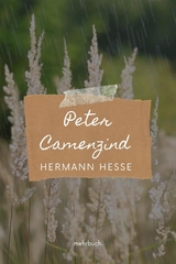 Peter Camenzind - Hermann Hesse