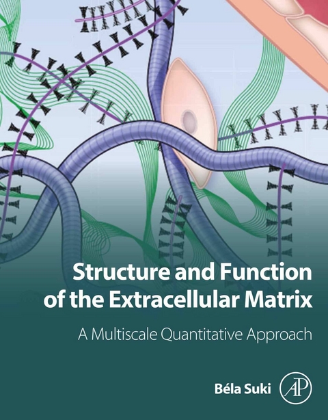 Structure and Function of the Extracellular Matrix -  Bela Suki