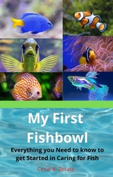 My First Fishbowl - Cesar E. Zerauj