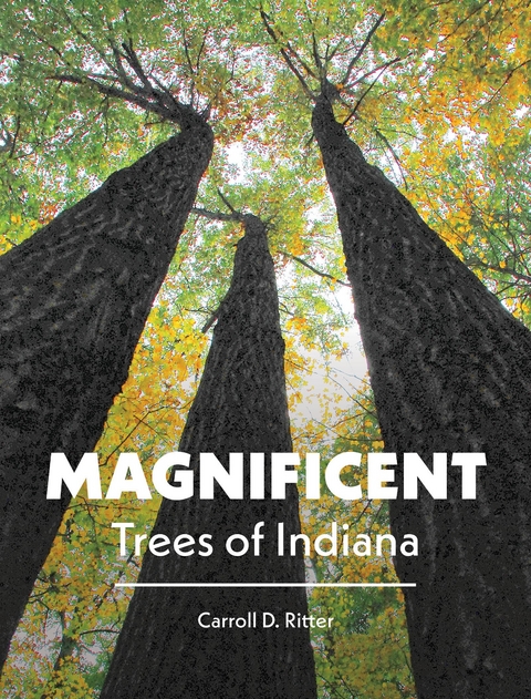 Magnificent Trees of Indiana -  Carroll D. Ritter
