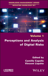 Perceptions and Analysis of Digital Risks - 