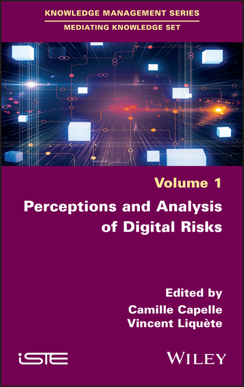 Perceptions and Analysis of Digital Risks - 