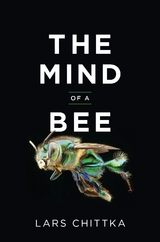 Mind of a Bee -  Lars Chittka