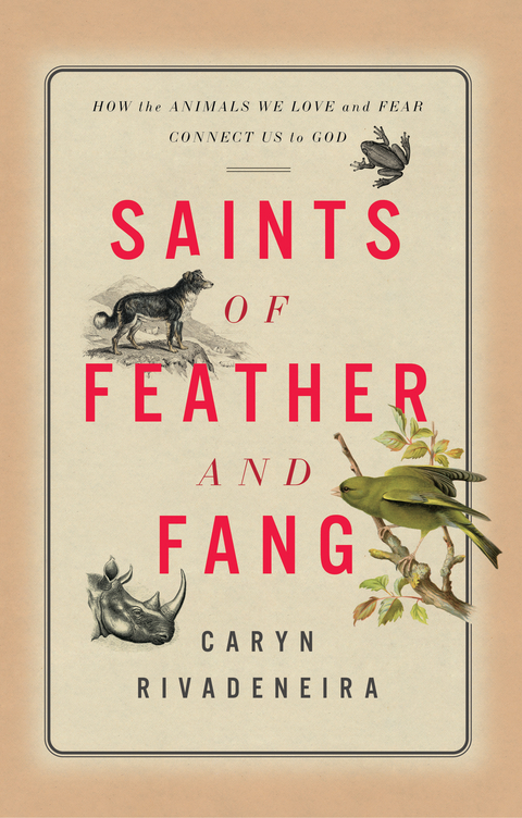 Saints of Feather and Fang: How the Animals We Love and Fear Connect Us to God -  Caryn Rivadeneira