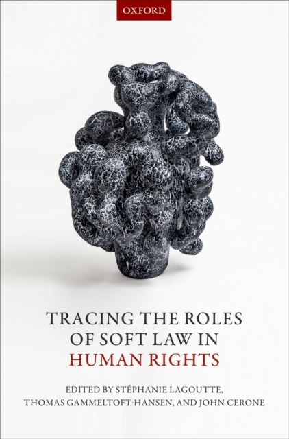 Tracing the Roles of Soft Law in Human Rights - 