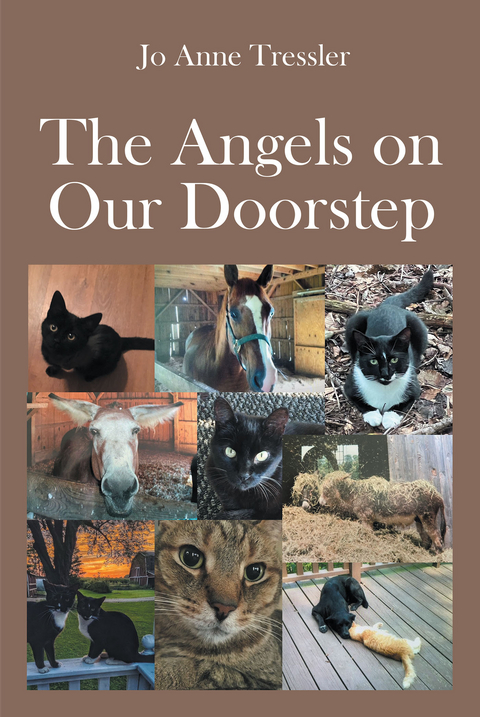 Angels on Our Doorstep -  Jo Anne Tressler