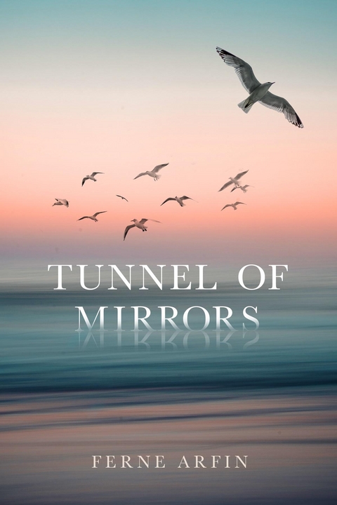 Tunnel of Mirrors - Ferne Arfin
