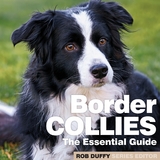 Border Collies - 