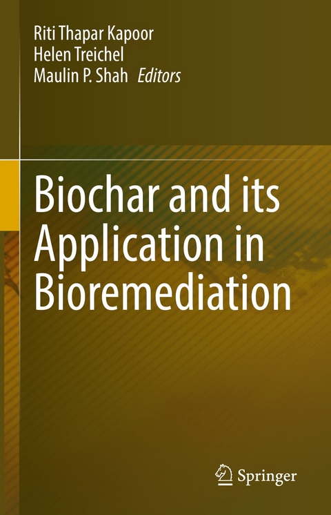 Biochar and its Application in Bioremediation - 