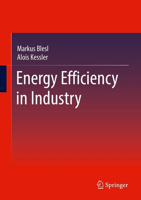 Energy Efficiency in Industry - Markus Blesl, Alois Kessler