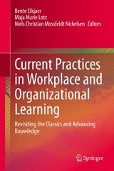 Current Practices in Workplace and Organizational Learning - 