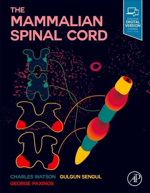 Mammalian Spinal Cord -  George Paxinos,  Gulgun Sengul,  Charles Watson