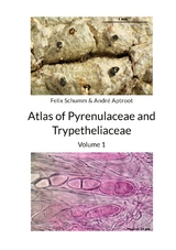 Atlas of Pyrenulaceae and Trypetheliaceae - Volume 1 - Felix Schumm, André Aptroot