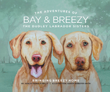 The Adventures of Bay and Breezy: Bringing Breezy Home - Ashley Ronald Nelly