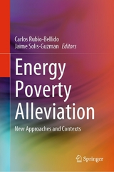 Energy Poverty Alleviation - 