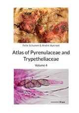Atlas of Pyrenulaceae and Trypetheliaceae Vol 4 - Felix Schumm, André Aptroot