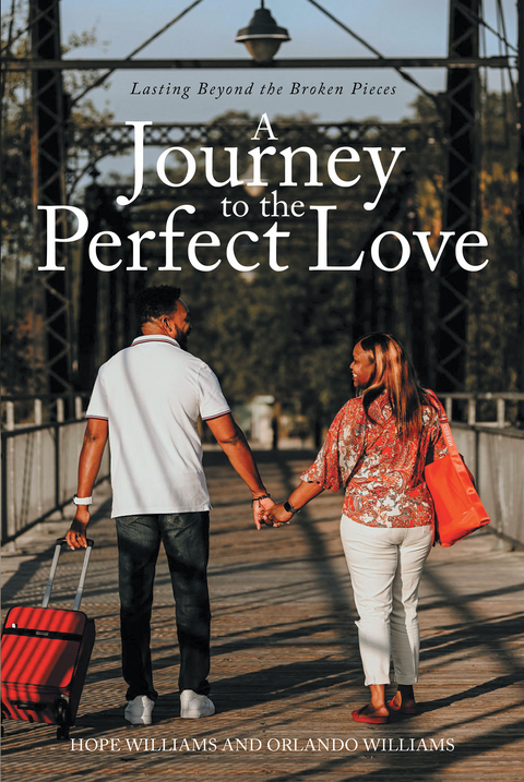 Journey to the Perfect Love -  Hope Williams