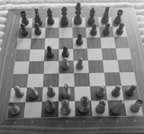 Prinzipien des Schachspiels - Roman Hirt