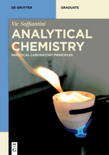 Analytical Chemistry -  Victor Angelo Soffiantini