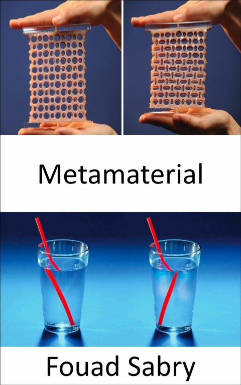 Metamaterial -  Fouad Sabry