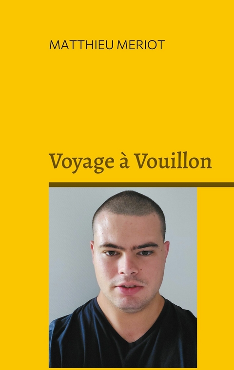 Voyage à Vouillon -  Matthieu Meriot