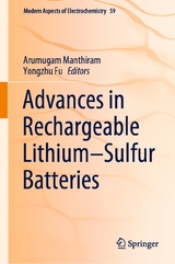 Advances in Rechargeable Lithium–Sulfur Batteries - 