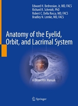 Anatomy of the Eyelid, Orbit, and Lacrimal System - 