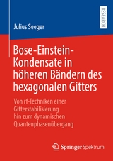 Bose-Einstein-Kondensate in höheren Bändern des hexagonalen Gitters - Julius Seeger