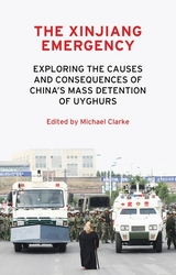 The Xinjiang emergency - 