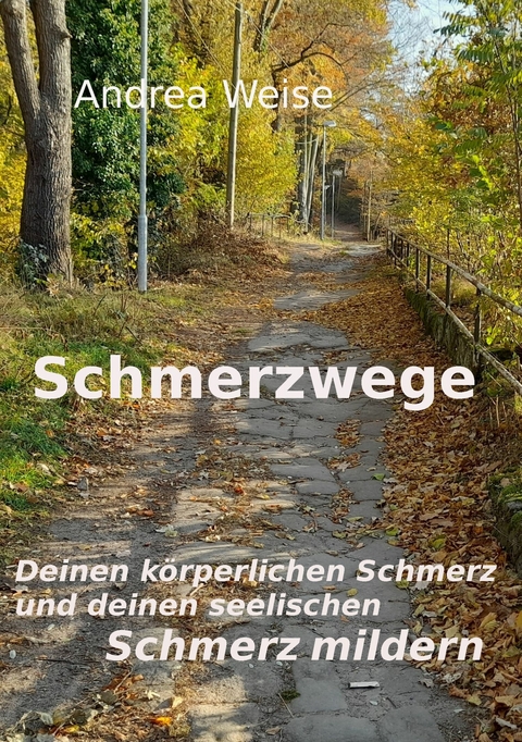 Schmerzwege - Andrea Weise