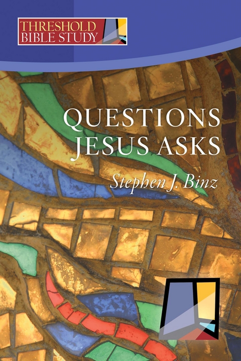 Threshold Bible Study -  Stephen J Binz