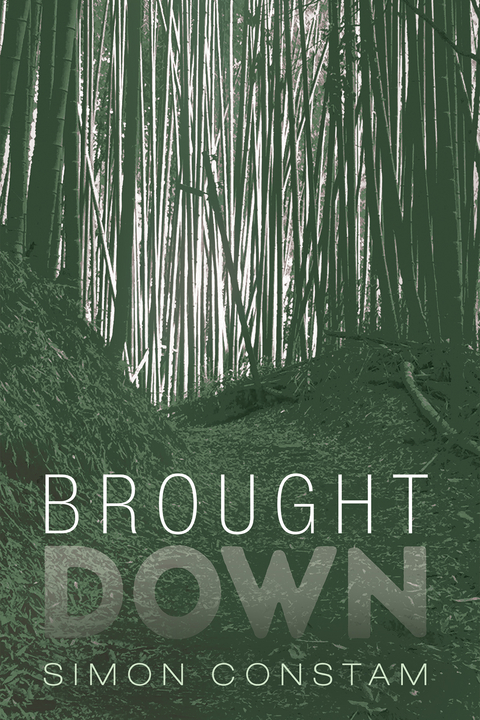 Brought Down -  Simon Constam