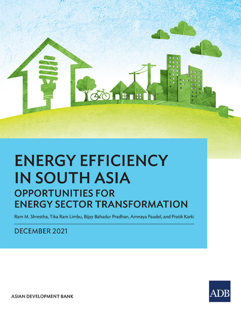 Energy Efficiency in South Asia