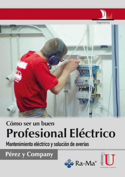 Cómo ser un buen profesional eléctrico -  Varios