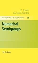 Numerical Semigroups -  P. A. Garcia-Sanchez,  J.C. Rosales
