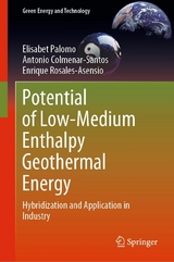 Potential of Low-Medium Enthalpy Geothermal Energy -  Elisabet Palomo,  Antonio Colmenar-Santos,  Enrique Rosales-Asensio
