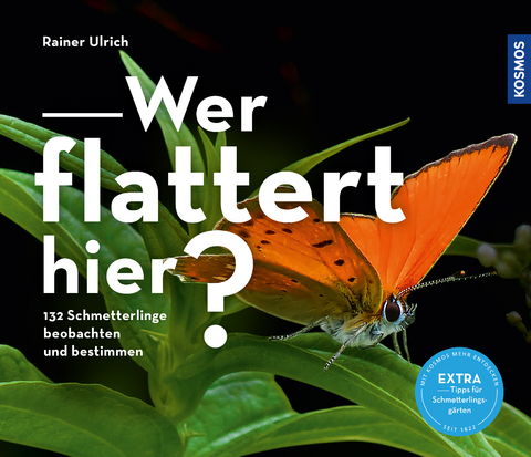 Wer flattert hier - Rainer Ulrich